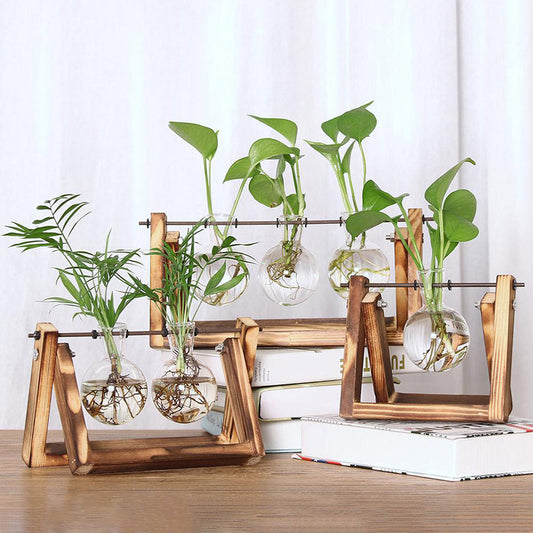 Indoor Plant Glass Pot Plant Terrarium with Wooden Stand Tabletop Glass Bulb Vase Home Garden Office Decoration