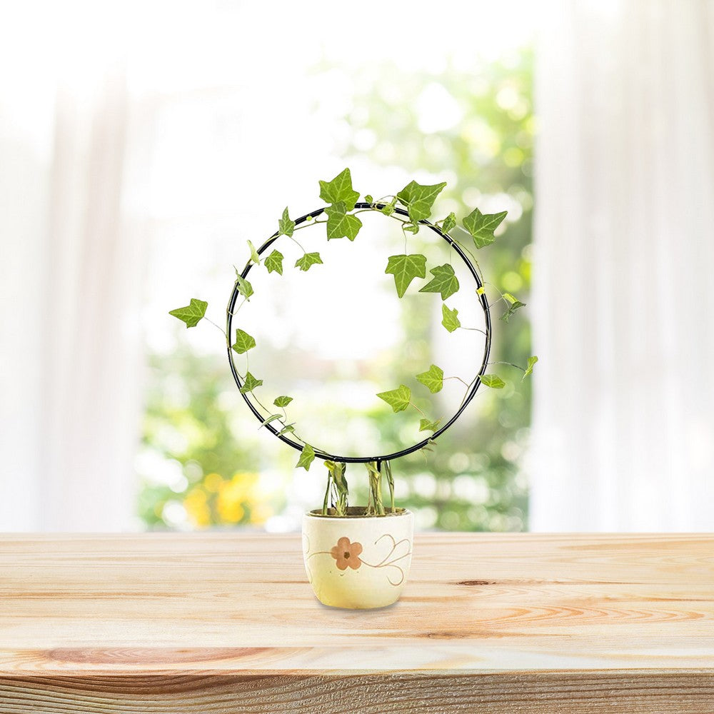 2PCS Plant Trellis for Climbing Plants Flower Support Heart Round Garden Trellis