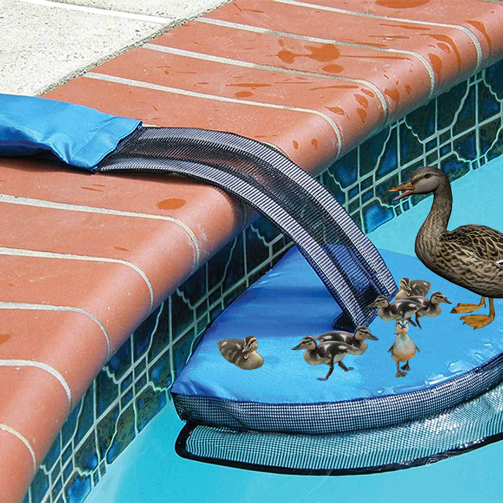 FrogLog Critter Animal Saving Escape Ramp Duck Swimming Pool Swimline Rescue