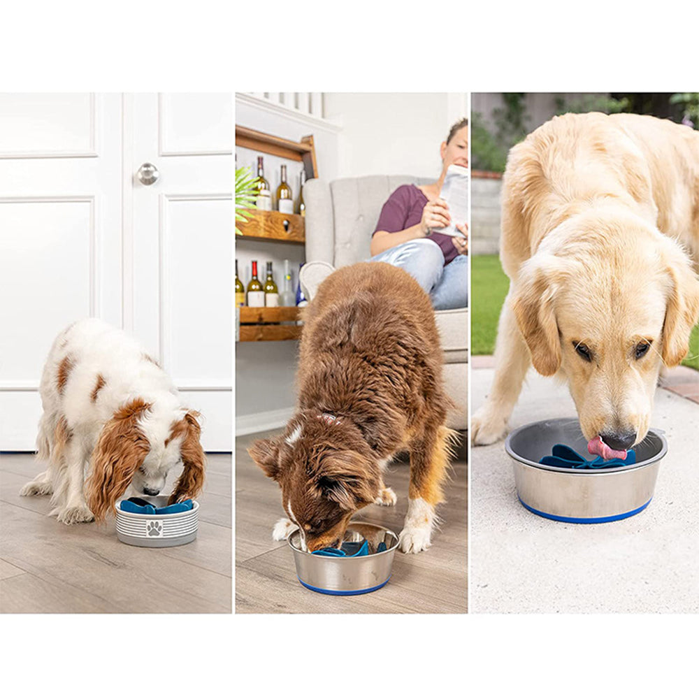 Spiral Slow Feeder Insert Slow Feeder Dog Bowl