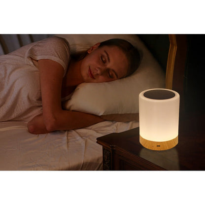 Touch LED Night Light Bedside Desk Lamp Table Mood USB Dimmable Rechargeable