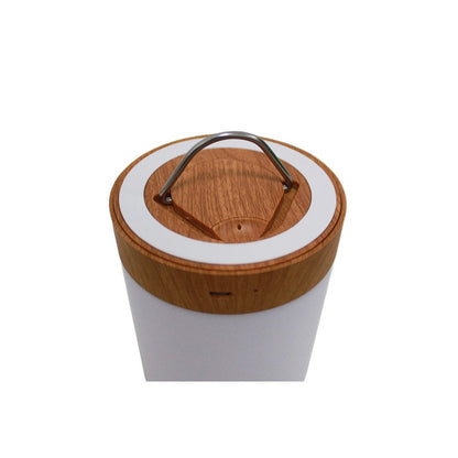 Touch LED Night Light Bedside Desk Lamp Table Mood USB Dimmable Rechargeable