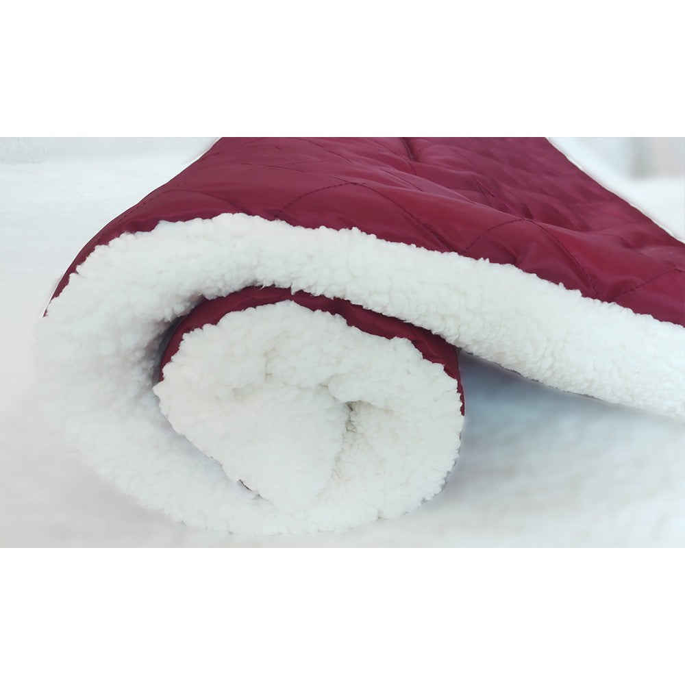 Winter Warm Pet Blanket Red