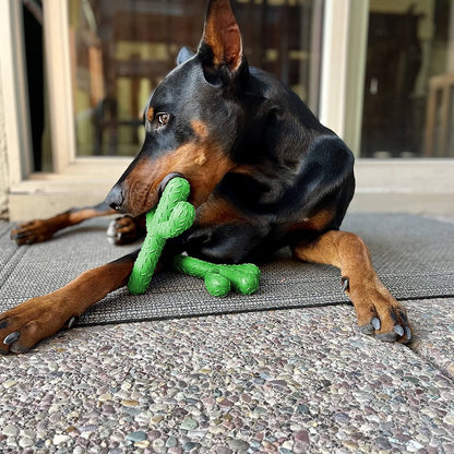 Cactus Shaped Dog Chew Toys Rubber Pet Teething Toy Interactive Dog Toys Dog Cleaning Teeth Toy