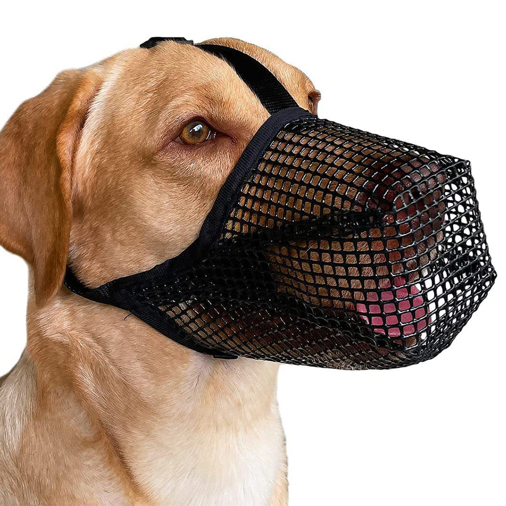 2pcs Dog Muzzle Anti Biting Barking Chewing Breathable Air Mesh Pet Muzzle -L