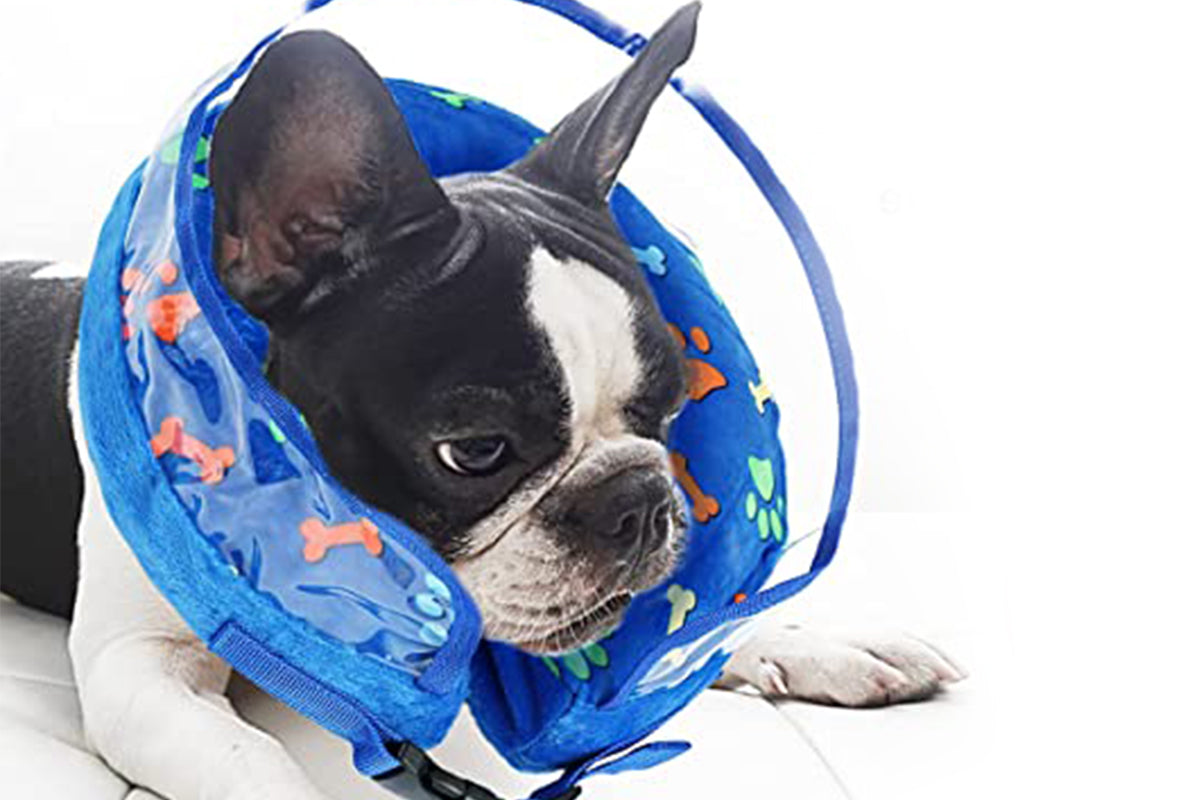 Soft Inflatable Dog Cone Collar for Large Medium Small Pet After Surgery-Blue