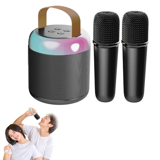 Mini Karaoke Machine for Adults and Kids Portable Bluetooth Karaoke Speaker with 2 Wilreless Microphones -Black