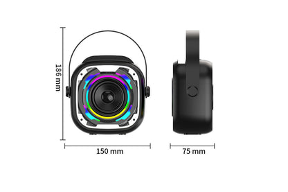 Portable Bluetooth Mini Karaoke Machine Wireless Microphone Adjustable with Colorful Lights-Black