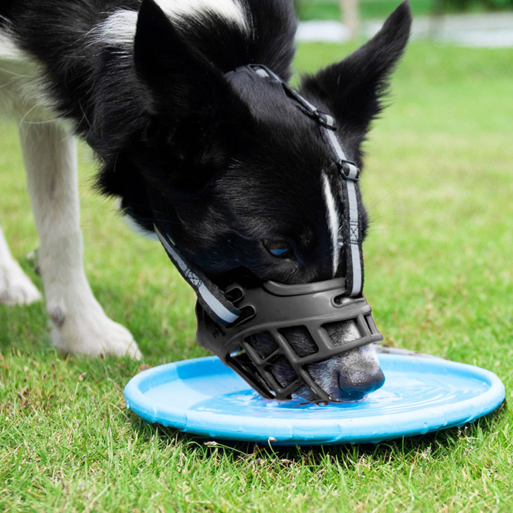 Breathable Rubber Dog Muzzle with Reflective Strap