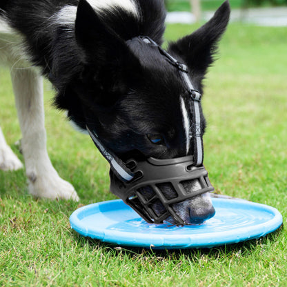 Breathable Rubber Dog Muzzle with Reflective Strap