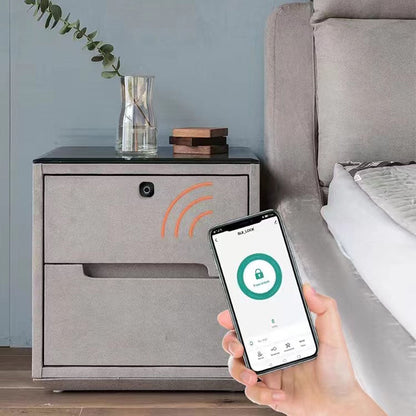 Bluetooth APP Fingerprint Cabinet Lock Smart File Drawer Wardrobe Lock Child Safety Electric Lock