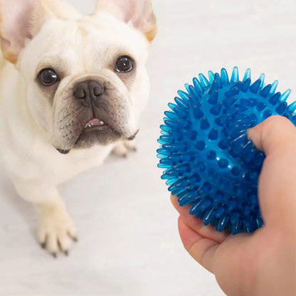 6Pcs Squeaky Dog Toy Balls Floating Dogs Pool Balls Interactive Fetch Toys for Puppy