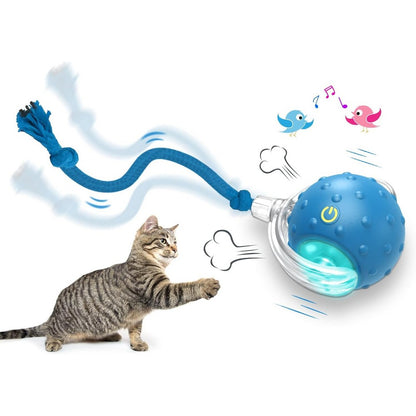 Interactive Cat Toys Balls with Birdsong 360-degree Smart Automatic Rolling Ball-Blue