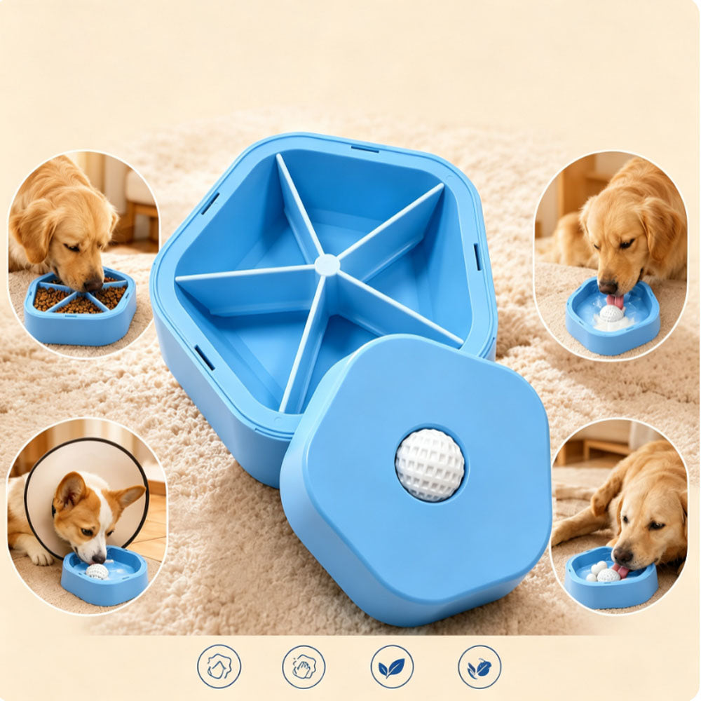 2 in 1 Removable Insert Slow Feeder Pet Bowl - Blue