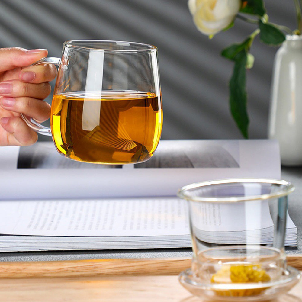 Glass Tea Cup with Infuser and Lid Borosilicate Tea Mug for Loose Leaf Tea