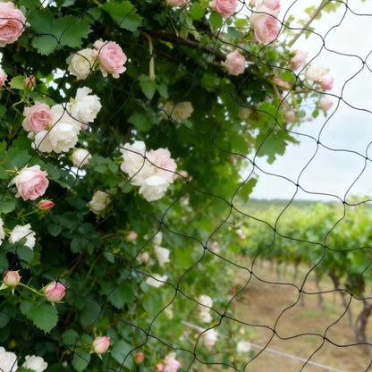 Nylon Bird Netting for Garden Fruit Tree and Crop Protection