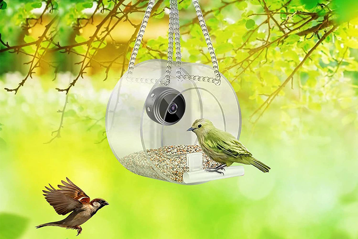 1080P WiFi Smart Bird Feeder with Camera for Closeup Shots