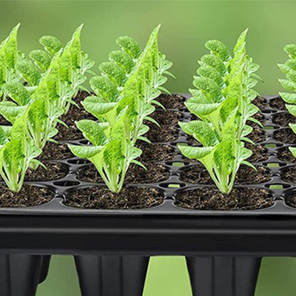 10 Pack Deep Cell Seed Starter Trays for Plant Nursery