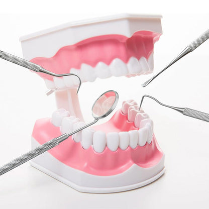 Professional Dental Tool Kit 6 Piece Stainless Steel Oral Care Set Black