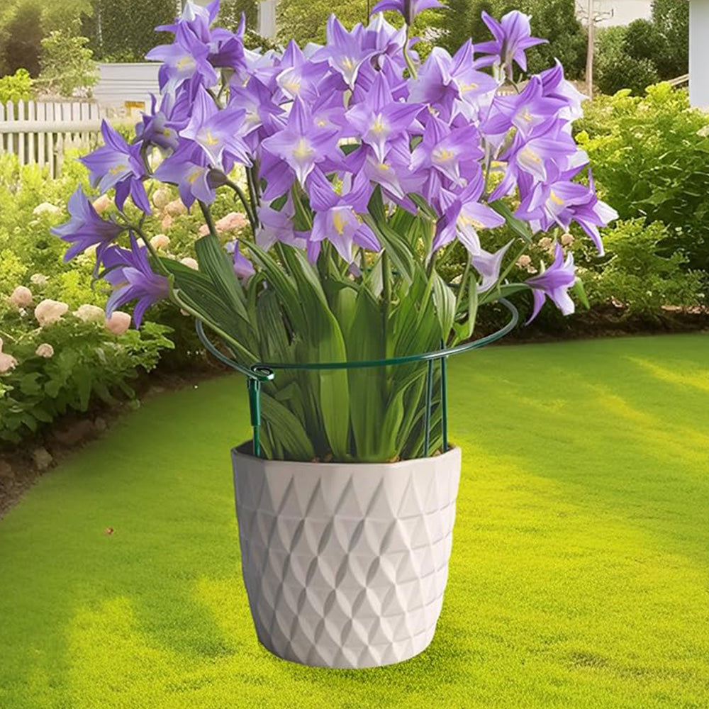 Plant Supports Stakes Set Half Round Metal Garden Stakes for Outdoor Indoor Plants