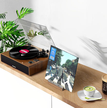 LED Now Playing Vinyl Record Storage and Display Stand with Light
