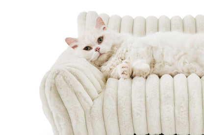 Cat Couch Bed Fluffy Pet Sofa with Removable Washable Cover Non-Slip Bottom -White