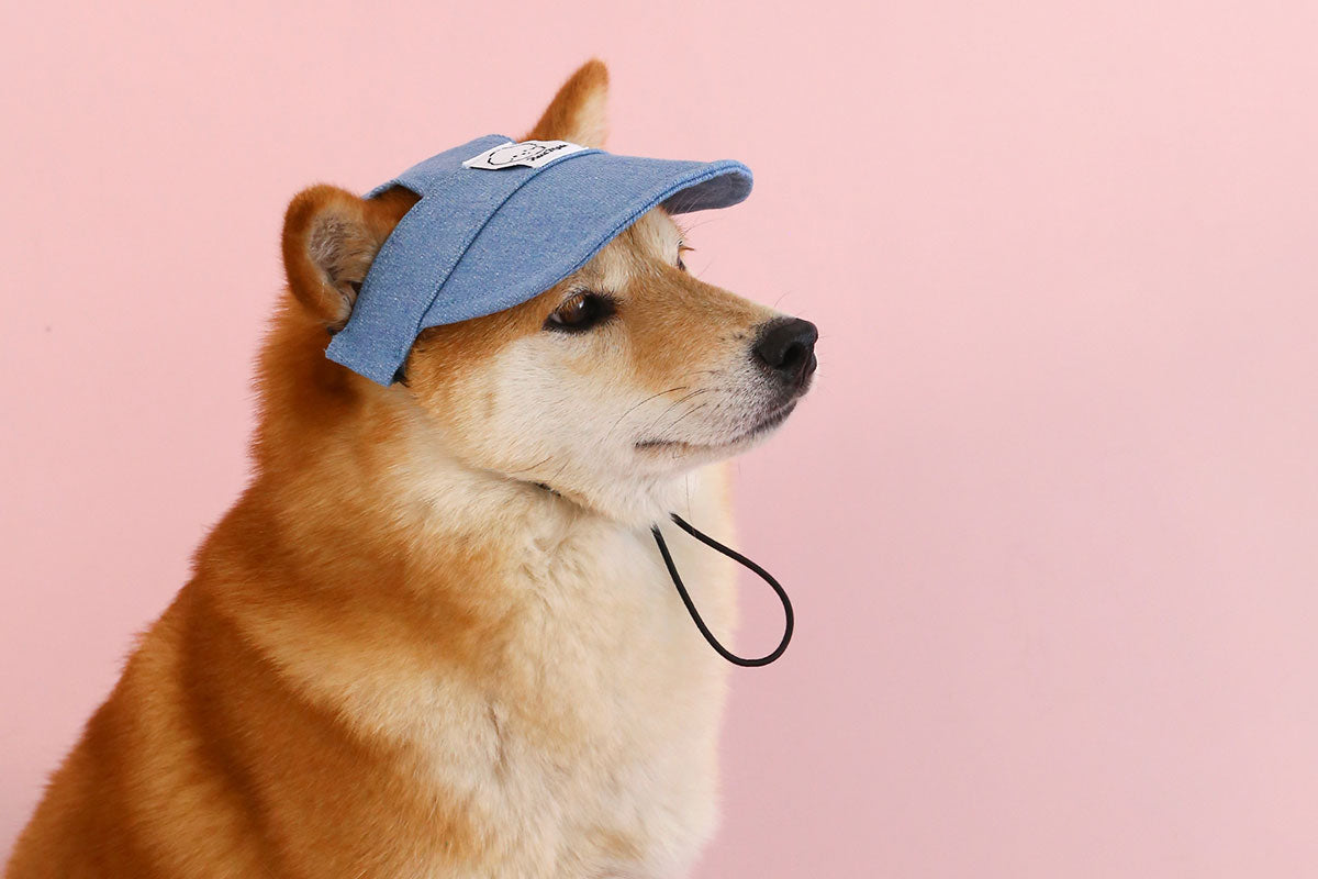 Denim Dog Hat Sun Visor Baseball With Ear Holes Chin Strap Outdoor Pet Sun Hat