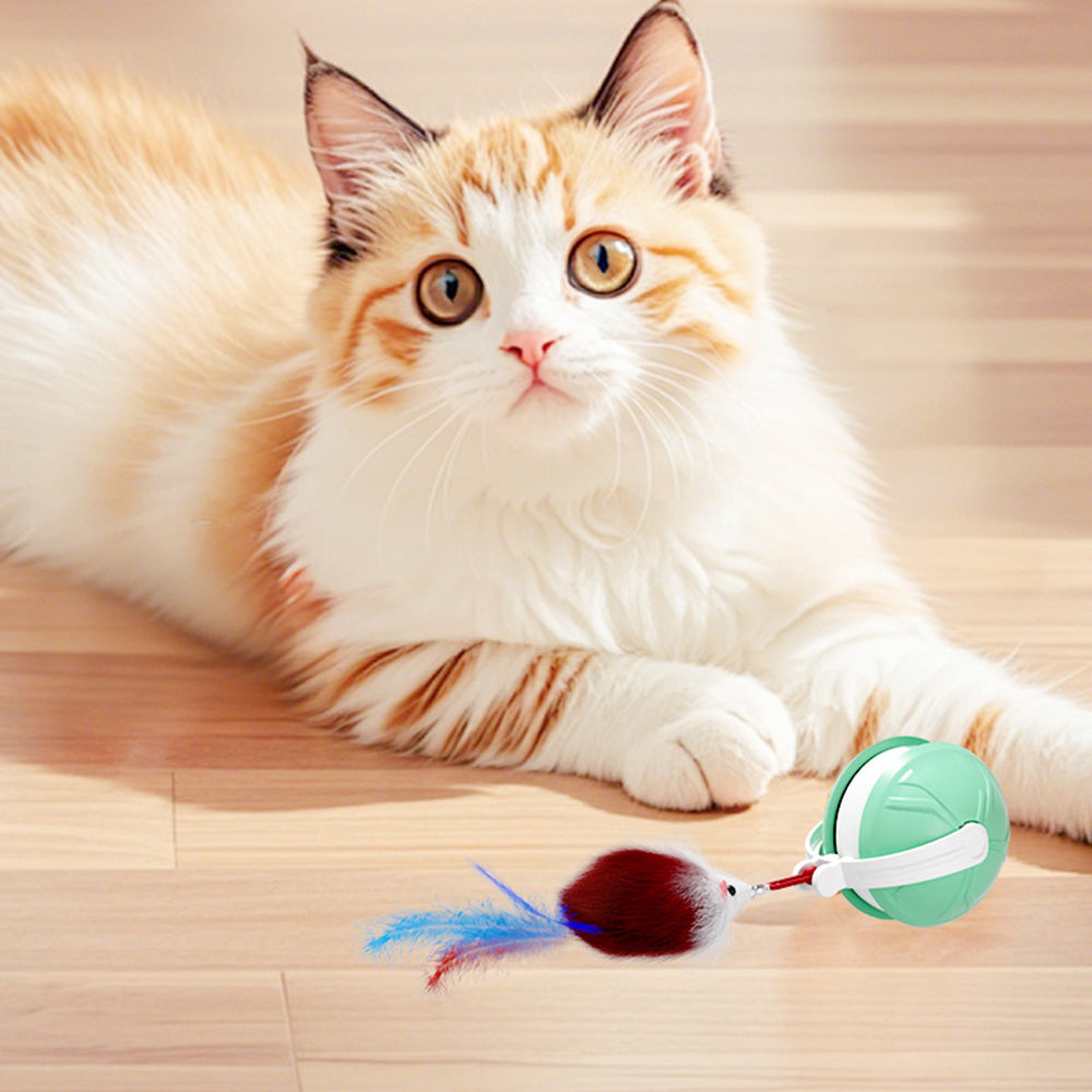 Electric Automatic Moving Rolling Dog Toy Interactive Dog Ball Toy Green