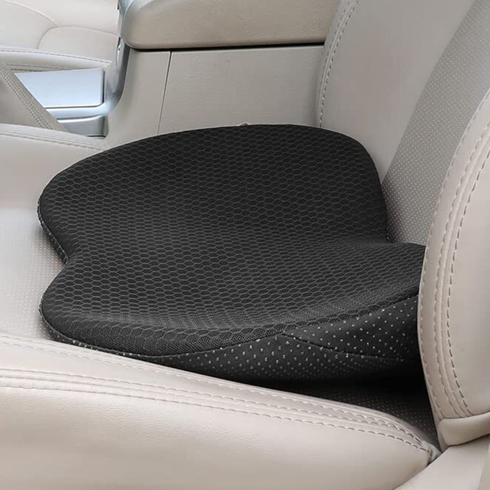 2-in-1 Booster or Lumbar Support