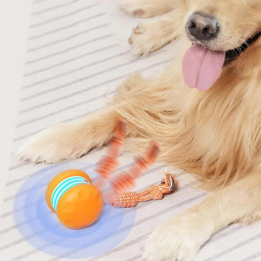 Interactive Pet Rolling Ball Toy Rechargeable Automatic Play Ball for Cats and Dogs-Orange