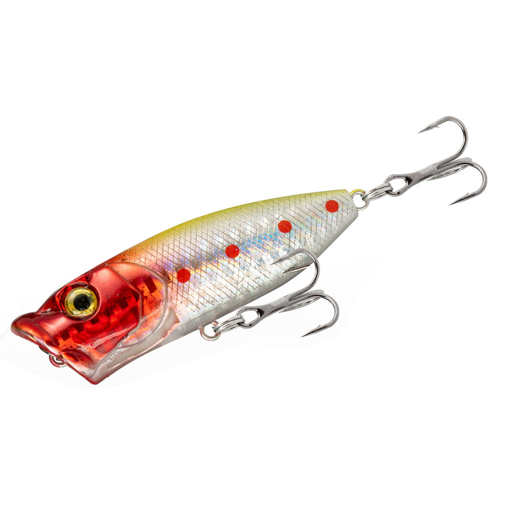 Advent Calendar Fishing ¨C Christmas Countdown with 24 Days of Fishing Lures