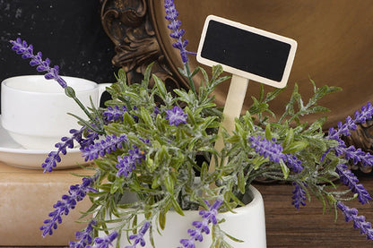 10Pcs Wood Chalkboards Signs Gardening Plant Tags