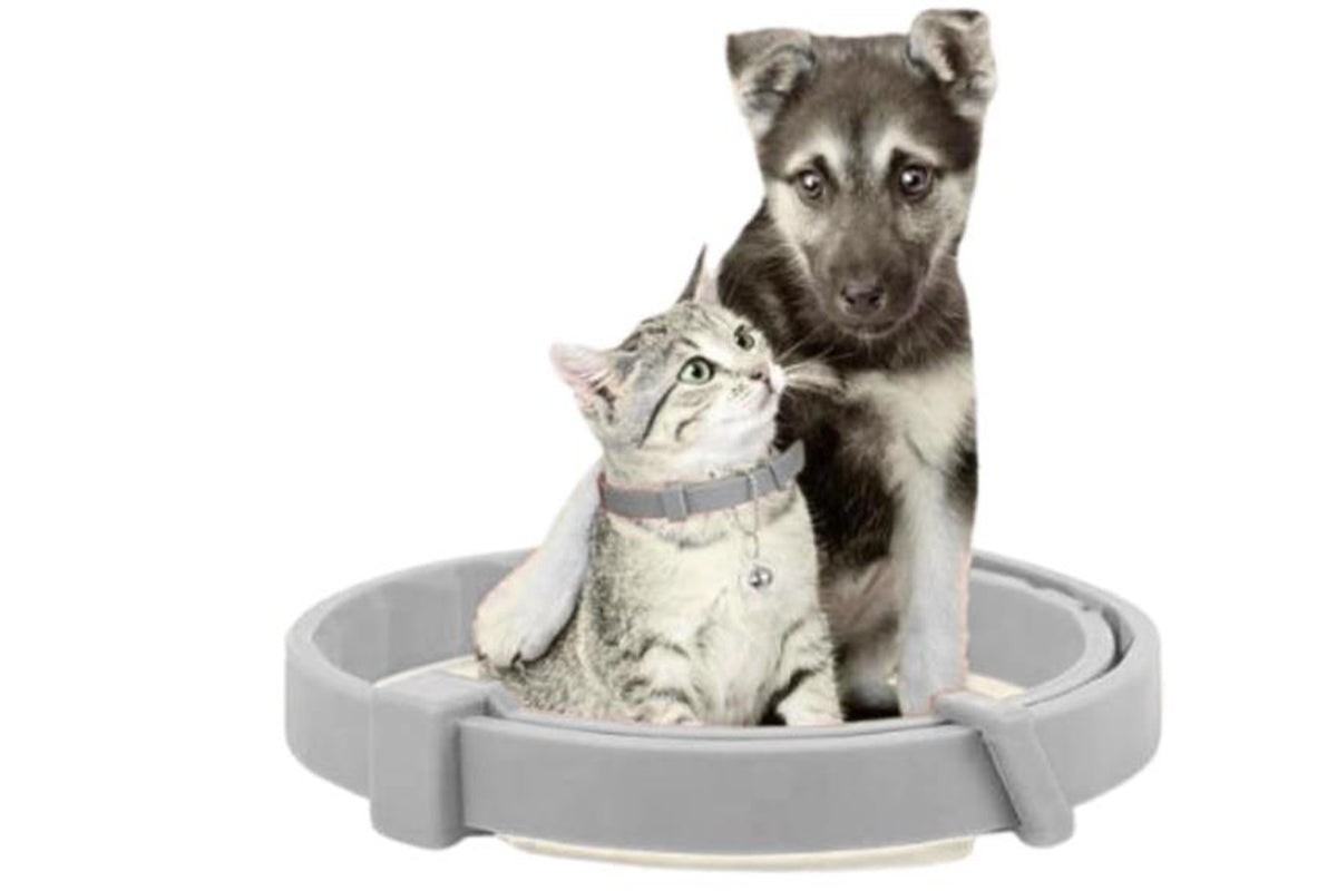 4Pcs Set Calming Collar for Dogs Dog Pheromone Calm Collars Relief Anxiety-Grey