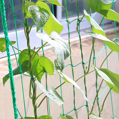 Garden Plant Climbing Net Vegetable Flower Vine Trellis Support Fence
