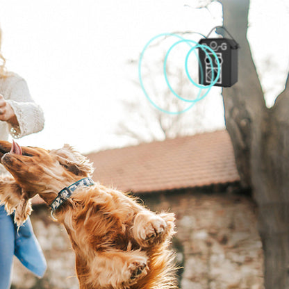 Solar Powered Pet Dog Anti-Bark Device Ultrasonic Bark Control Device