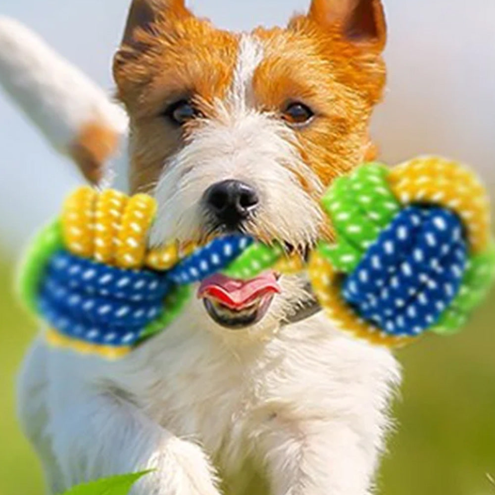 7Pcs Dog Rope Chew Toys ¨C Durable Knot Balls for Puppies Training and Teething