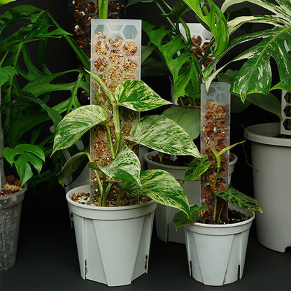 Moss Pole Plant Extension Support Tall Plant Sticks Support for Climbing Plants