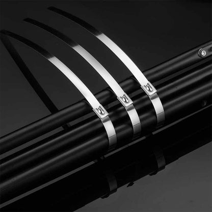 100 Piece 304 Stainless Steel Self-Locking Cable Ties 0.46 cm Wide 15cm