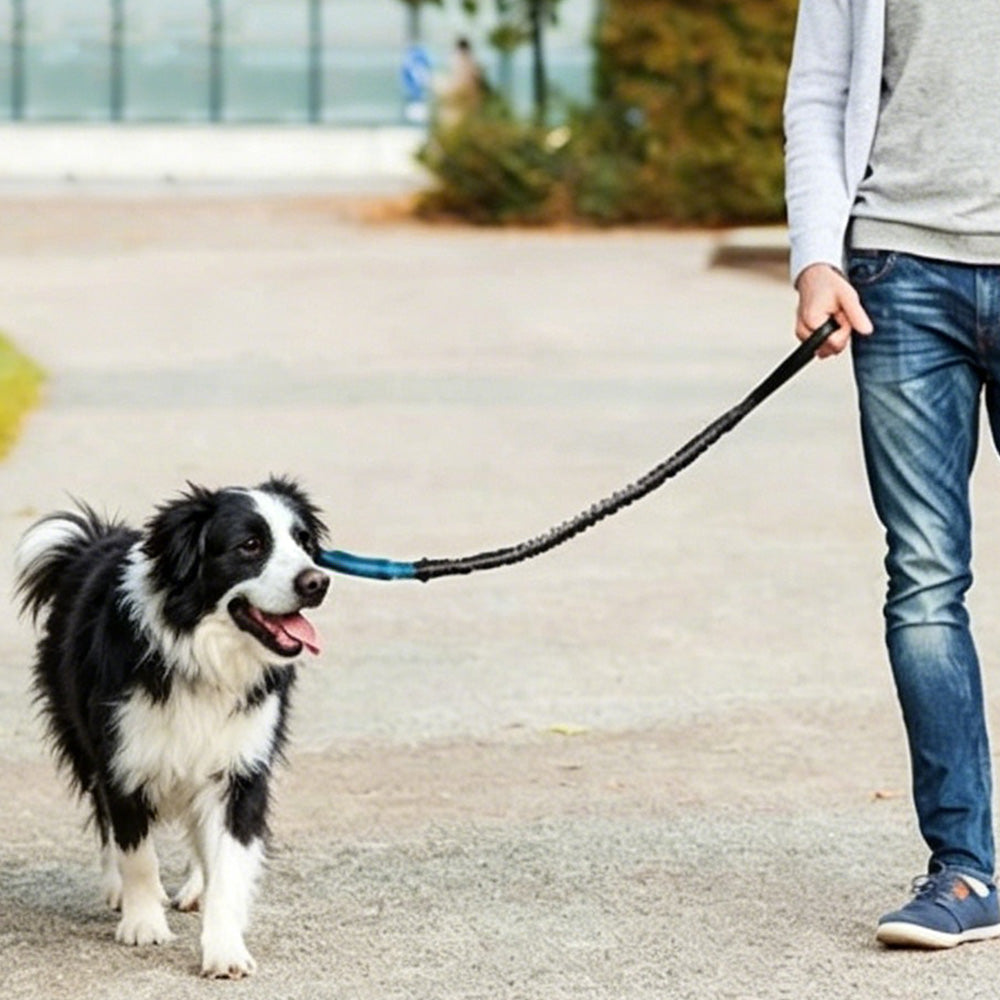 2 in 1 Hands Free Running Dog Leash for Walking Jogging-Blue
