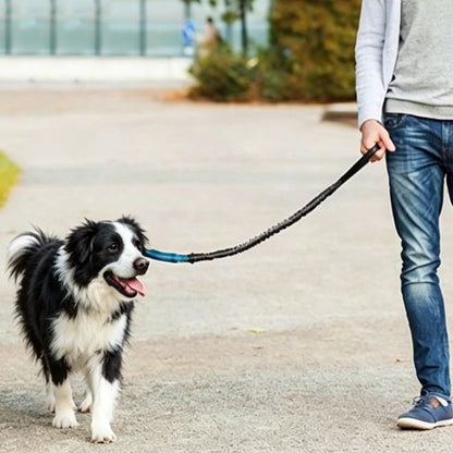 2 in 1 Hands Free Running Dog Leash for Walking Jogging-Blue