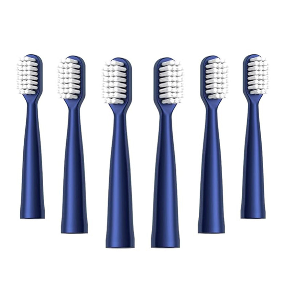 Electric Toothbrush for Adults ¨C Sonic Toothbrush with 6 Brush Heads and Smart Timer Blue