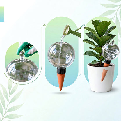 4 Pack 17oz Self Watering Globes Slow Release Waterer