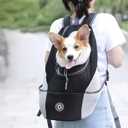 Mesh Pet Carrier Small Dog Cat Backpack for Travel Hiking Camping Black