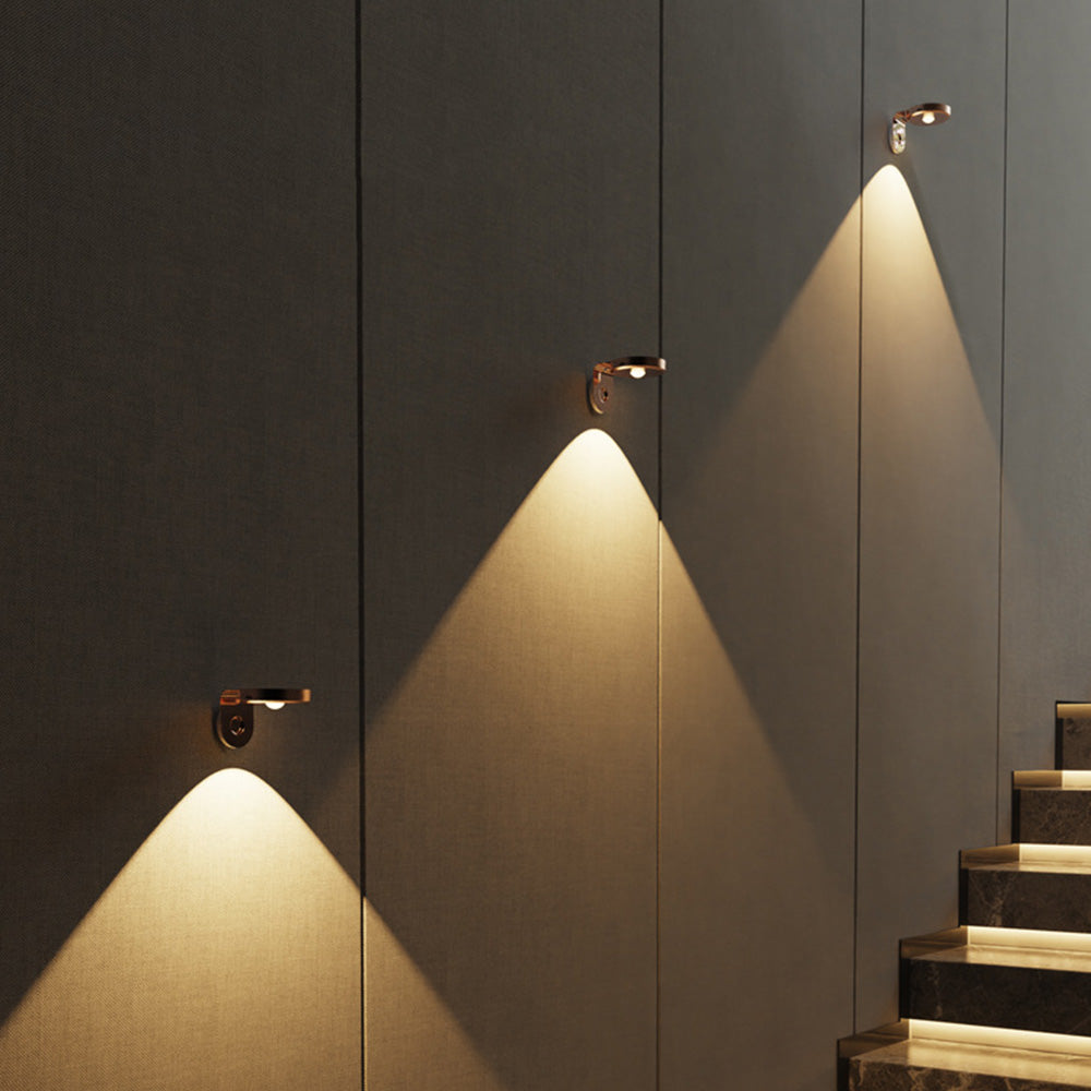 Rotating Picture Light with 3 Light Modes
