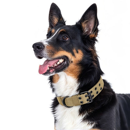 Adjustable Padded Nylon Dog Collar and Leash Set for Large Dogs - Khaki