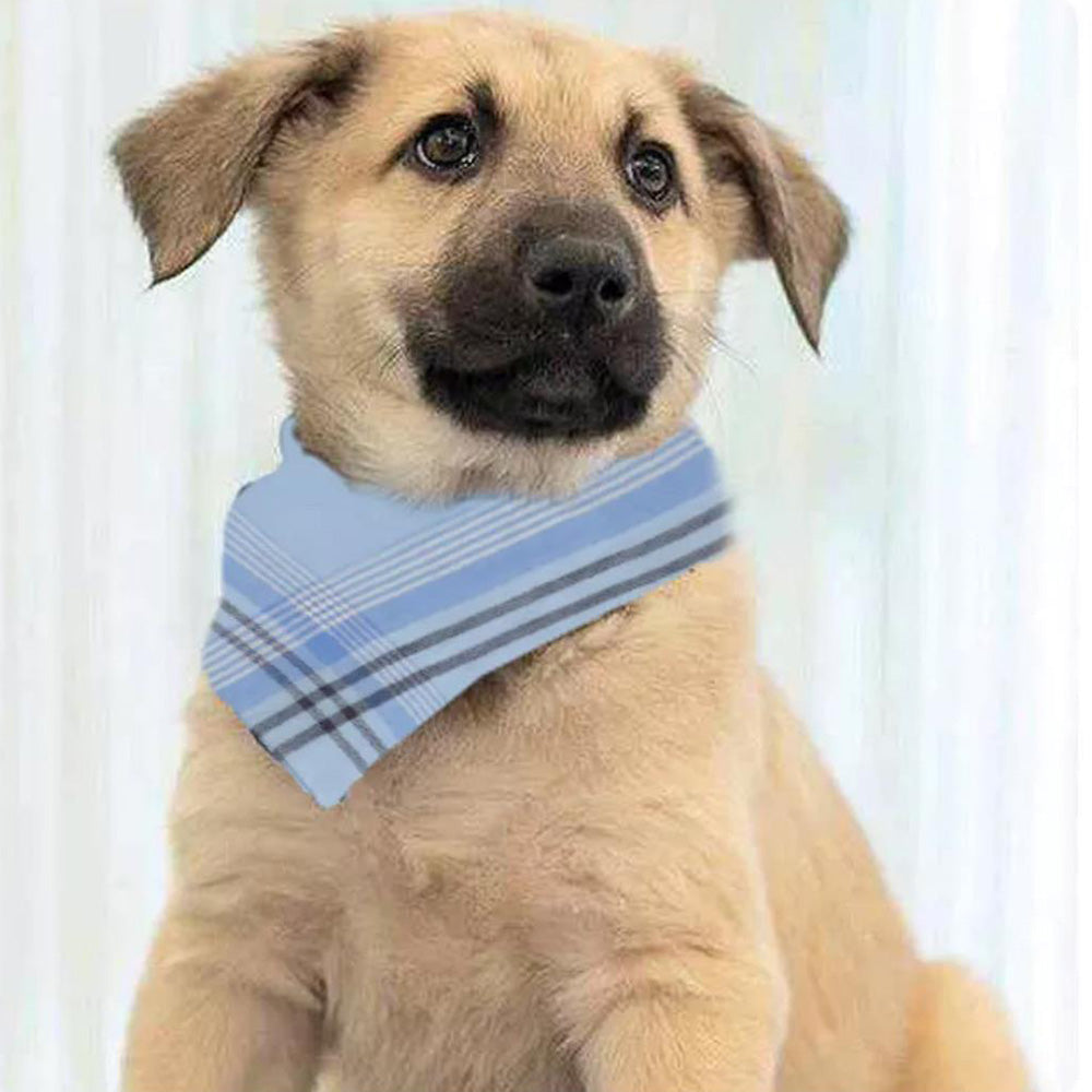 12Pcs Classic Hankies for Men Polyester Square Hanky Mens Pocket Square Handkerchiefs