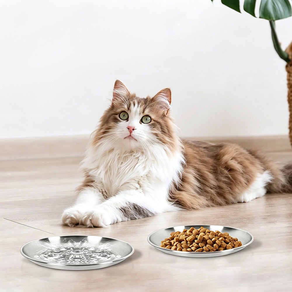 4Piece Stainless Steel Pet Bowls -Silver