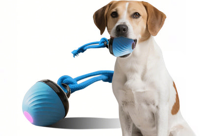 Squeaky Dog Toy Active Rolling Ball Interactive Dog Toys Motion Activated-Blue
