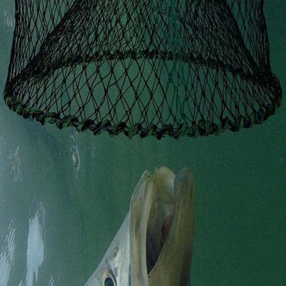 2 Pieces Fishing Bait Trap with Pull Rope Collapsible Fish Net