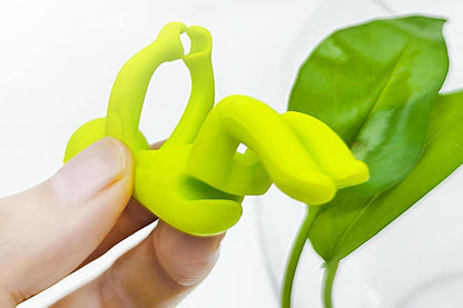 6Pcs Plant Propagation Buddy Plant Cutting Holder for Sprouts Stems Shoots Indoor Garden Support